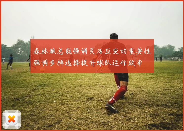 森林狼总裁强调灵活应变的重要性强调多样选择提升球队运作效率