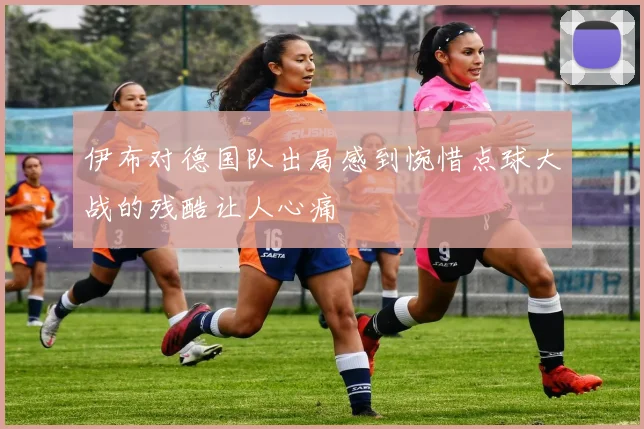 伊布对德国队出局感到惋惜点球大战的残酷让人心痛