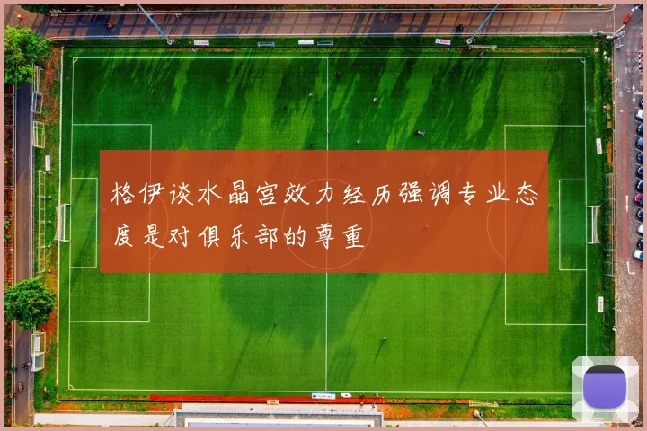 格伊谈水晶宫效力经历强调专业态度是对俱乐部的尊重